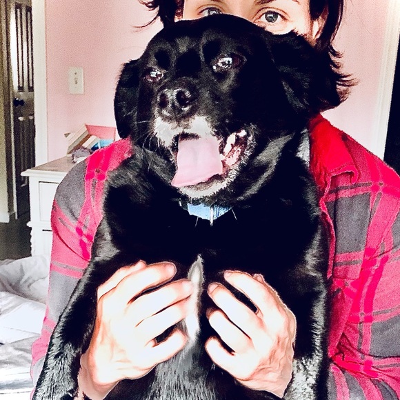 This is Charlie - Picture 5 of 6